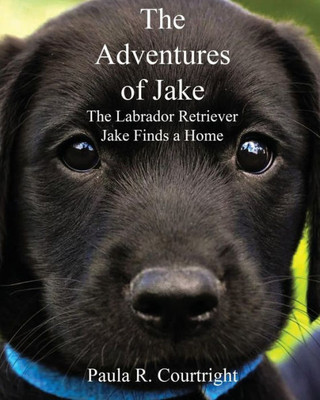 The Adventure Of Jake The Labrador Retriever : Jake Finds A Home