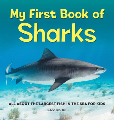 My First Book Of Sharks