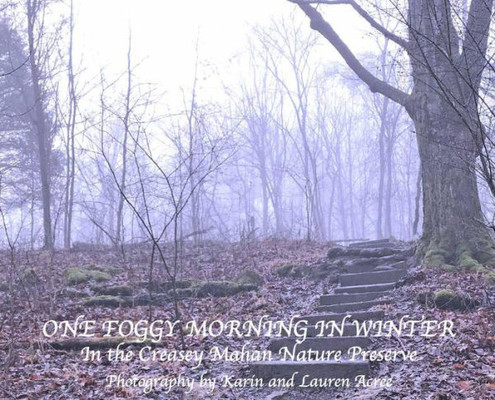 One Foggy Morning In Winter : In The Creasey Mahan Nature Preserve