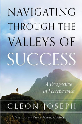 Navigating Through The Valleys Of Success : A Perspective In Perseverance