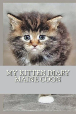 My Kitten Diary : Maine Coon