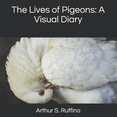 The Lives Of Pigeons: A Visual Diary
