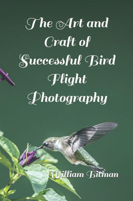 The Art And Craft Of Successful Bird Flight Photography