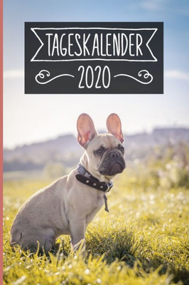 Tageskalender 2020 : Terminkalender Ca Din A5 Weiß Über 370 Seiten I 1 Tag Eine Seite I Jahreskalender I Französische Bulldogge I Hunde