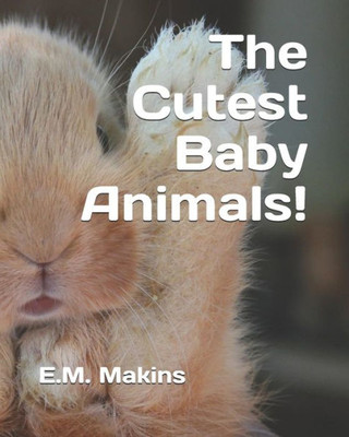 The Cutest Baby Animals!