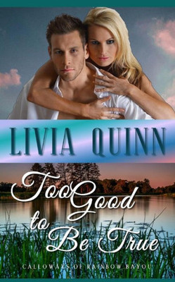 Too Good To Be True : A Small Town Romance