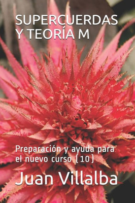 Supercuerdas Y Teoría M : Preparación Y Ayuda Para El Nuevo Curso (10)