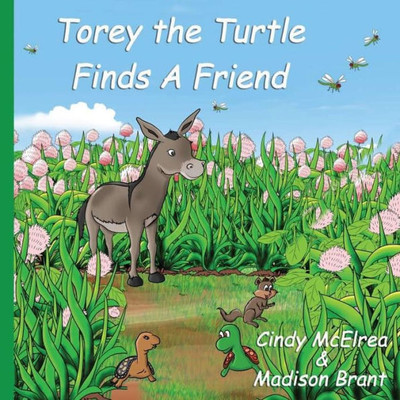 Torey The Turtle Finds A Friend
