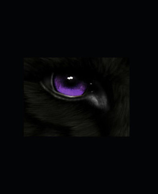 Wolf: Limbo: Book 4 Of The Wolf Series