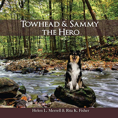 Towhead and Sammy The Hero - Paperback