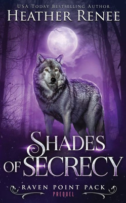 Shades Of Secrecy: Prequel Novella