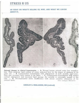 Stress R Us : An Essay On What'S Killing Us, Why, And What We Can Do About It
