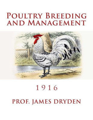 Poultry Breeding And Management : 1916