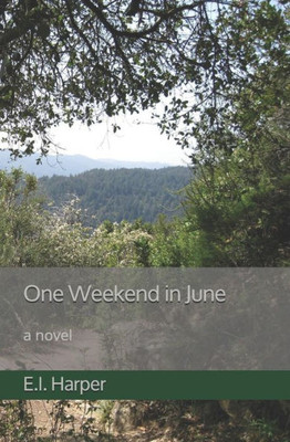 One Weekend In June : A Novel