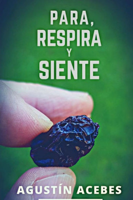 Para, Respira Y Siente