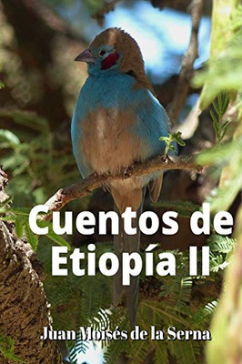 Cuentos De Etiopía II (Spanish Edition)