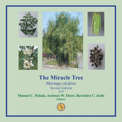 The Miracle Tree : Moringa Oleifera