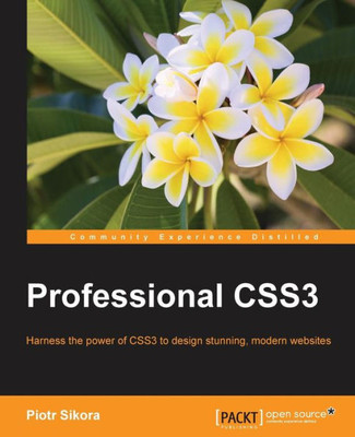 Professional Css3