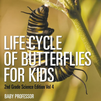 Life Cycle Of Butterflies For Kids 2Nd Grade Science Edition
