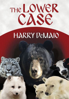 The Lower Case : Octavius Bear Book 4