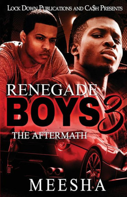 Renegade Boys 3 : The Aftermath
