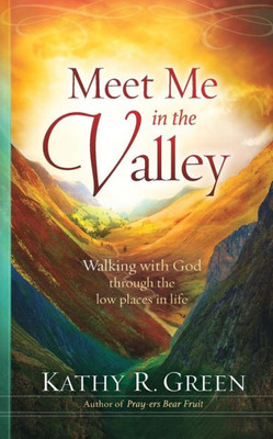 Meet Me In The Valley : Walking With God Through The Low Places In Life