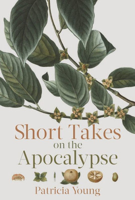 Short Takes On The Apocalypse