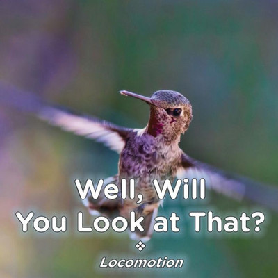 Well, Will You Look At That? Locomotion