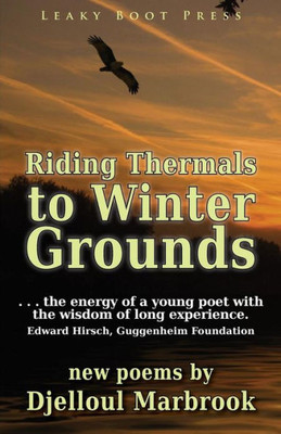 Riding Thermals To Winter Grounds