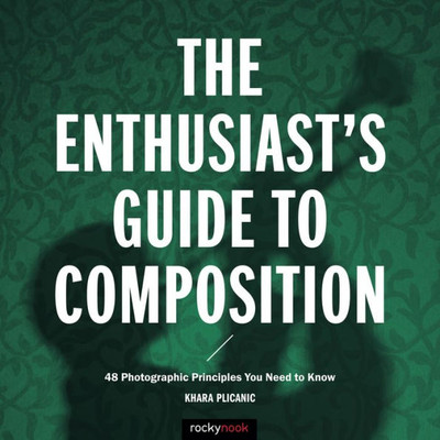 The Enthusiast'S Guide To Composition : 48 Photographic Principles You Need To Know