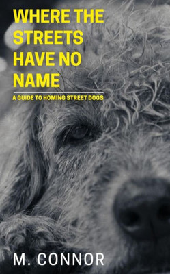 Where The Streets Have No Name : A Guide To Homing Street Dogs