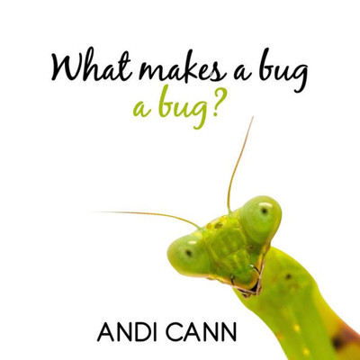 What Makes A Bug A Bug?