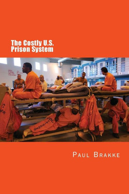The Costly U. S. Prison System : Too Costly In Dollars, National Prestige, And Lives