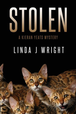 Stolen : A Kieran Yeats Mystery