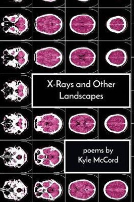 X-Rays And Other Landscapes