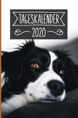 Tageskalender 2020 : Terminkalender Ca Din A5 Weiß Über 370 Seiten I 1 Tag Eine Seite I Jahreskalender I Border Collie I Hunde