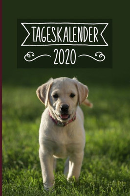 Tageskalender 2020 : Terminkalender Ca Din A5 Weiß Über 370 Seiten I 1 Tag Eine Seite I Jahreskalender I Labrador I Hunde