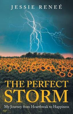 The Perfect Storm : My Journey From Heartbreak To Happiness