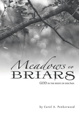 Meadows Or Briars : God In The Midst Of Our Pain