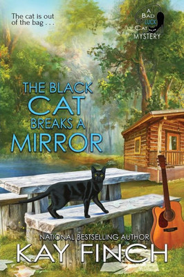 The Black Cat Breaks A Mirror