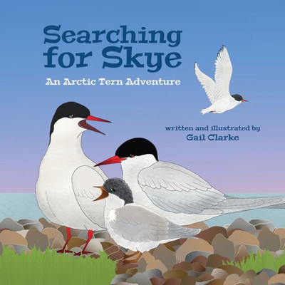 Searching For Skye : An Arctic Tern Adventure