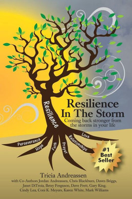 Resilience In The Storm : Coming Back Stronger From The Storms In Your Life