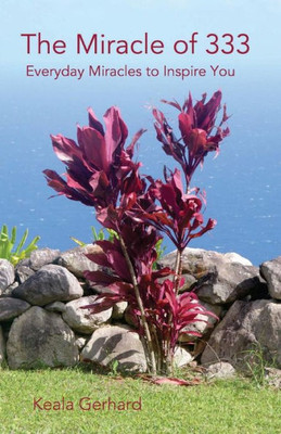 The Miracle Of 333 : Everyday Miracles To Inspire You