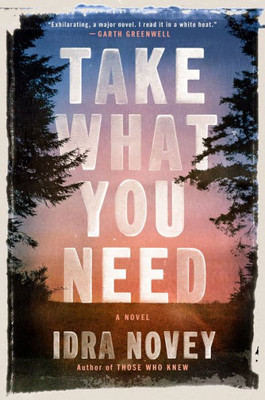 Take What You Need: A Novel