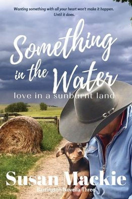 Something In The Water: Novella - Barrington Series