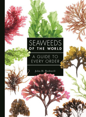 Seaweeds Of The World: A Guide To Every Order (A Guide To Every Family, 4)