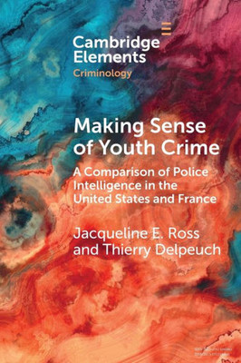 Making Sense Of Youth Crime (Elements In Criminology)