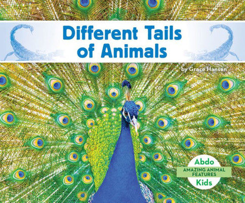 Different Tails Of Animals (Amazing Animal Features)