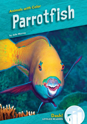 Parrotfish (Animals With Color)