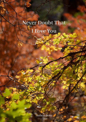 Never Doubt That I Love You